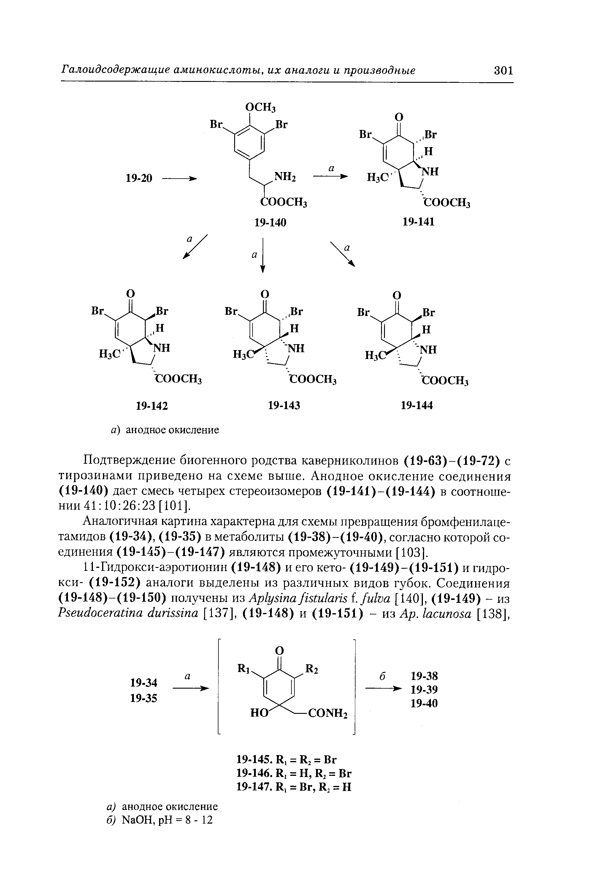 Подтверждение биогенного родства каверниколинов (19-63)-(19-72) с тирозинами приведено на схеме выше. Анодное окисление соединения (19-140) дает смесь четырех стереоизомеров (19-141)-(19-144) в соотношении 41 10 26 23 [101].