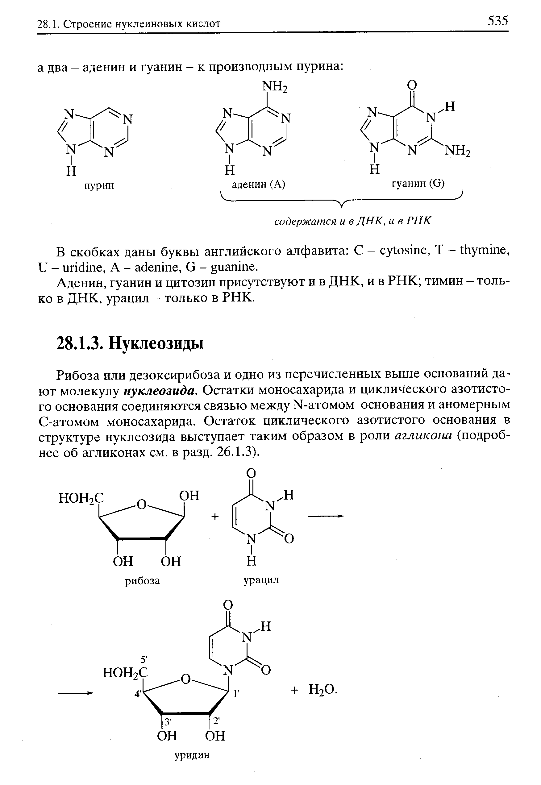 Рибоза или дезоксирибоза и одно из перечисленных выше оснований дают молекулу нуклеозида. Остатки моносахарида и циклического азотистого основания соединяются связью между М-атомом основания и аномерным С-атомом моносахарида. Остаток циклического азотистого основания в структуре нуклеозида выступает таким образом в роли агликона (подробнее об агликонах см. в разд. 26.1.3).