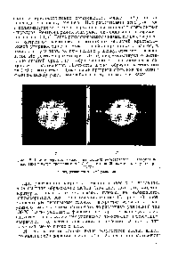 Рис. 38. <a href="/info/1441303">Рентгенограммы пленок</a> из полиэтилентерефталата, закристал-