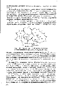 Рис. 193. <a href="/info/376711">Схематическое изображение</a> <a href="/info/1306912">структуры двухкомпонентного</a> стекла КазО—ЗЮа (по Шольце).