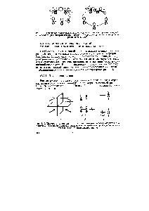 Рис. 13.1. Циклические переходные состояния для согласованных реакций супрапо-верхностного (а) в антараповерхностного (6) (1, ]-<a href="/info/138261">сдвигов</a> <a href="/info/1581">водорода</a> в сигматрогшых