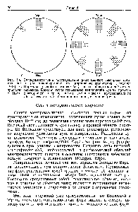 Рис. 5.4. <a href="/info/1221908">Экспериментальное подтверждение</a> роли шейных <a href="/info/1356350">сенсорных органов</a> как центров ориентирования по направлению гравитации (Lindauer, 1967). А. Нормальные пчелы в темноте бегут вверх по <a href="/info/892013">вертикальной стенке</a>, проявляя геотаксис. Каждая точка показывает направление одного пробега. Б. После двусторонней перерезки nervus ervi alis пчелы передвигаются по той же стенке в <a href="/info/41784">случайных направлениях</a>, не ориентируясь.