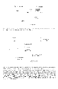 Рис. 13.8. Получение <a href="/info/160872">гибридной молекулы</a>, содержащей одновременно ДНК вируса SV40, ДНК фага X, и галактозный оперон (схема по A.A. Баеву).