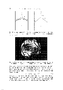 Рис. 16. Картина гранных и негранных форм роста в монокристаллах <a href="/info/78218">иттрий-алюминиевого граната</a>, выявленная при просмотре вдоль образца. Увеличение х 5