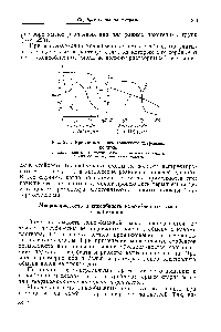 Рис. 223. <a href="/info/134078">Кривые потенциометрического титрования</a> ионитов 