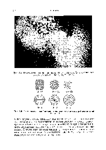 Рис. 6.5. <a href="/info/376711">Схематическое изображение</a> топологии дисклинаций различной силы