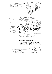 Рис. 4.5. <a href="/info/163659">Карта электронной плотности</a> молекулы водорода
