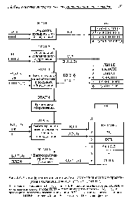 Рис. 3.4. <a href="/info/24618">Схема функционирования</a> системы автоматизированного проектирования цементных заводов (САПР-ЦЕМЕНТ) 