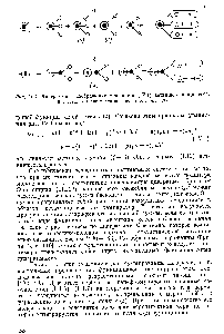 Рис. IV. . Диаграммное <a href="/info/65288">изображение уравнений</a> (IV. ) ветвящегося процесса, в скобках указано число аналогов (ср. с рис. 1.9).