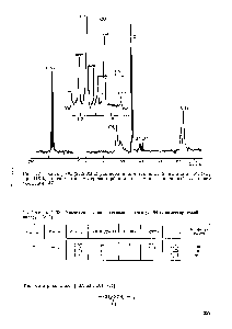 Таблица 2.62. <a href="/info/2832">Химические сдвиги</a> сигналов в спектре Ш полиметакриловой кислоты [350]