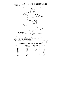 Рис. 111.24. <a href="/info/18092">Диаграмма энергетических</a> уровней гетероядерных двухатомных молекул, которые образуются из пз- и пр- атомных состояний