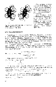 Рис. 13. <a href="/info/149793">Модели пространственных</a> (геометрических) изомеров бутена-2 