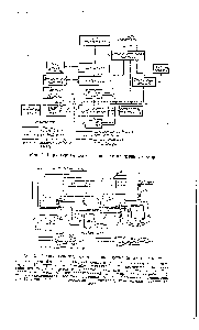 Рис. 4. <a href="/info/1708820">Структурная схема производства</a> жидкого хлора.