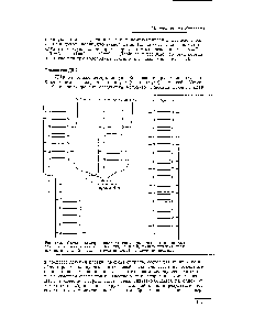 Рис. 15.22. Схема постулированного механизма реБликации <a href="/info/1385486">гена посредством</a> синтеза <a href="/info/1696521">двух</a> новых <a href="/info/33639">полинуклеотидных цепей</a>, <a href="/info/509747">комплементарных цепям</a> исходного гена. <a href="/info/1321626">Спиральная структура цепей</a> на схеме не показана.