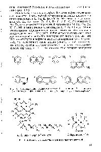 Рис. 1.10. <a href="/info/105350">Молекула хлорофилла</a> — <a href="/info/22716">зеленого пигмента</a> растений