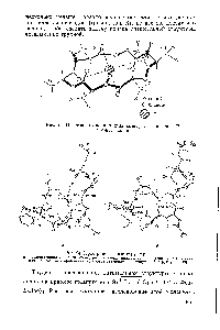 Рис. 23. <a href="/info/33158">Пространственная модель</a> комплекса энниатина В с ионом калия