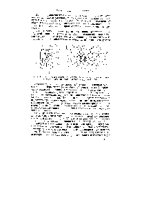 Рис. VI.3. Схема рентгеносъемки но методу ращения [а) и <a href="/info/390520">рентгенограмма вращения</a> <a href="/info/471484">монокристалла кварца</a> вокруг осп с (б).
