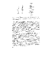 Рис. 63. <a href="/info/27147">Реакционные аппараты</a> для сернокислотной гидратации этилена и пропилена 