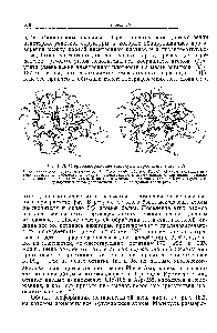 Рис. 15.3. <a href="/info/169270">Стереоизображение</a> молекулы карбоксипептидазы А.