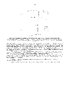 Рис. 7-19. Две составляющие <a href="/info/1339684">электрохимического протонного градиента</a>. Общая протонодвижущая сила, создающаяся на <a href="/info/1900631">внутренней митохондриальной</a> мембране, складывается из большой силы, обусловленной мембранным потенциалом (традиционно обозначается как А /, но в нашем тексте - как А ), и меньшей, которую создает <a href="/info/25910">градиент концентрации</a> протонов (АрН) Обе силы стремятся перемещать протоны внутрь