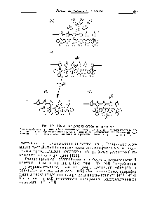 Рис. 6.20. Схемы <a href="/info/172343">алюмосиликатной поверхности</a>. а — адсорбированный ион А13+ с <a href="/info/2327">координационным числом</a> 6 б — <a href="/info/1849408">алюмосиликатные активные центры</a> — <a href="/info/383053">бренстедовский кислотный центр</a> а — устойчивый <a href="/info/383053">бренстедовский кислотный центр</a> г — дегидратированная поверхность —. <a href="/info/349553">льюисовский кислотный</a> центр.