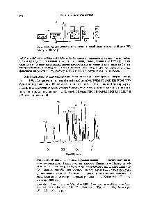 Рис. 1-14. <a href="/info/1568932">Автоматический аминокислотный</a> анализатор по Шпакману, Муру и Штейну.