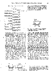 Рис. 11-24. <a href="/info/376711">Схематическое изображение</a> протео-гликана, состоящего из разветвленного белкового каркаса, к <a href="/info/1493527">которому присоединены</a> многочисленные <a href="/info/168742">боковые цепи</a> гликозаминогликанов. Вся структура сильно гидратирована.