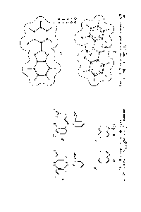 Рис. П-4. <a href="/info/1755846">Модели силовых полей</a> молекул [4,5]