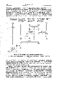 Фиг. 31. Фотосинтез по системе реакций (9.12).