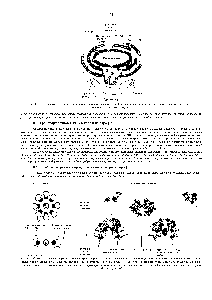 Рис. 8-19. <a href="/info/294912">Трехмерная модель</a> двуслойной оболочки, окружающей ядро. <a href="/info/106062">Ядерная оболочка</a> пронизана ядерными порами и переходит в