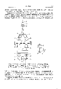 Рис. 13. <a href="/info/196341">Оптическая схема</a> универсального фотометра ФМ-56 