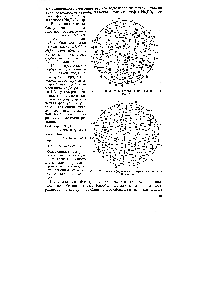 Рис. 82. Схема <a href="/info/445275">сферического зерна</a> анионита в ОН-форме