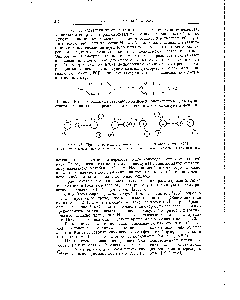 Рис. 76. Предполагаемый <a href="/info/749254">механизм протонной</a> проводимости [423].
