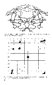 Рис. 1.18. <a href="/info/56559">Основные цепи</a> нативной ШУ-1 протеиназы (жирная линия) и ее комплекса с ингибитором С-365 (тонкая линия)