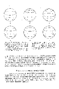 Рис. 11-4. Расположение <a href="/info/831964">большого числа</a> (от 7 до 12) электронных пар на поверхности сферы, соответствующее максимальному расстоянию <a href="/info/822594">между электронными парами</a>, а-октаэдр с одной щляпкой (7 пар) б-квадратная антипризма (8 пар) 