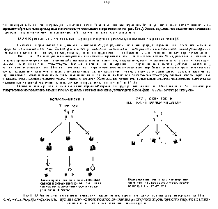 Рис. 12-12. <a href="/info/1384686">Различные клетки</a>-мишени по-разному реагируют на тестостерон, хотя содержат одинаковые <a href="/info/327089">рецепторные белки</a> При синдроме <a href="/info/510678">тестикулярною феминизации</a> мутация в одном-единственном гене, изменяющая рецептор тестостерона, приводит к тому, что все клетки-