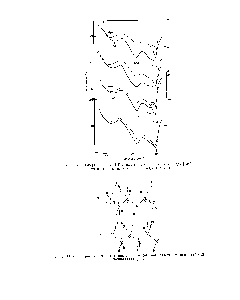 Рис. 43. Поляризационные ИК-спектры плепок поливинилхлорида [108].