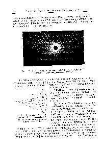 Рис. 18. <a href="/info/390520">Рентгенограмма вращения</a> монокристалла, сфотографированная на цилиндрическую пленку.