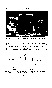 Рис. 24. Хроматограф Мультифракт Р-42 <a href="/info/1755543">фирмы Перкин-Элмер</a> (общий вид).
