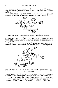 Рис. 6.15. Предполагаемая структура альдимиииой <a href="/info/1701871">формы комплекса фермент</a> — субстрат.