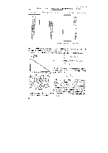 Рис. 48. Зависимость >й1([А2]в- )/([А1]о - )] от времени в <a href="/info/313531">реакции щелочного гидролиза</a> а-бромпропионовой кислоты в <a href="/info/6274">водном растворе</a> при 64°С. Ах— — МаОН, Аг —а-бром-<a href="/info/1250">пропионовая кислота</a> (по данным Каудри, Хьюза и Ингольда)