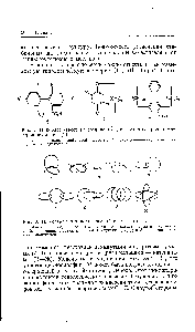 Рис. 6. Иллюстрация топологической изомерии [11].