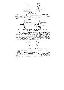 Рис. 25. Вывод <a href="/info/986973">проекционных формул оптических</a> (зеркальных) изомеров молочной кислоты
