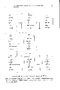 Рис. 4. <a href="/info/1720870">Строение макромолекулы целлюлозы</a> по Паксу.