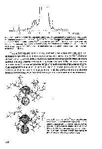 Рис.3.19. Сдвиг в спектре Са-связаниого протеина, обусловленный <a href="/info/972541">действием лантаноидного</a> сдвигающего реагента. Спектр ЯМР Н (270 МГц) парвольбу мина, в котором вместо имеющегося в <a href="/info/1436247">естественном состоянии</a> иона Са содержится ион Yb. <a href="/info/1585715">Центральная часть</a> спектра, содержащая сигналы протеинов и сигнал воды, представлена не полиостью. ( ) - сигналы <a href="/info/361246">метильных протонов</a> протеина, которые достаточно сильно сдвигаются под <a href="/info/1483051">влиянием парамагнитных</a> ионов [3.18].