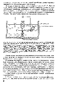 Рис. 11. Устройство для <a href="/info/859621">измерения мембранного потенциала</a> в митохондриях посредством синтетического проникающего иона (С+) (по Е. А. Либерману, 1969) 