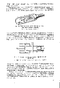 Рис. 17. <a href="/info/596325">Схема гидродинамического</a> многощелевого вибратора 