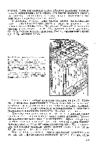 Рис. 34. <a href="/info/325342">Схема строения</a> хвойной древесины.