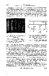 Рис. 137. <a href="/info/714762">Диаграмма седиментации</a> гемоцианина Ыти1и5 (Сведберг 168]), <a href="/info/3912">полученная методом</a> шкалы Ламма.