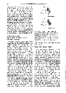 Рис. 22-25. <a href="/info/75672">Аллопуринол</a>-ингибитор ксантиноксидазы. В результате <a href="/info/1461937">небольшого изменения</a> (показано на красном фоне) в структуре гипоксантина (<a href="/info/100484">субстрата фермента</a>) получается <a href="/info/1435528">мощный ингибитор</a> фермента, обладающий <a href="/info/513194">лечебным действием</a>. <a href="/info/75672">Аллопуринол</a>, эффективный <a href="/info/102880">лекарственный препарат</a>, был создан именно как <a href="/info/196476">конкурентный ингибитор</a> ксантиноксидазы.